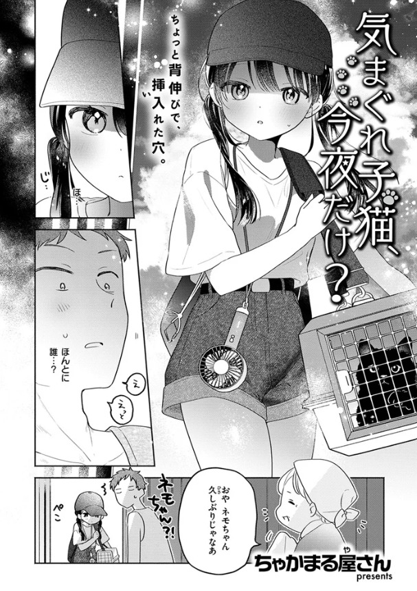 気まぐれ子猫、今夜だけ?